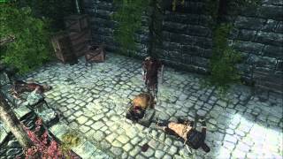 Skyrim: Roggvir's execution