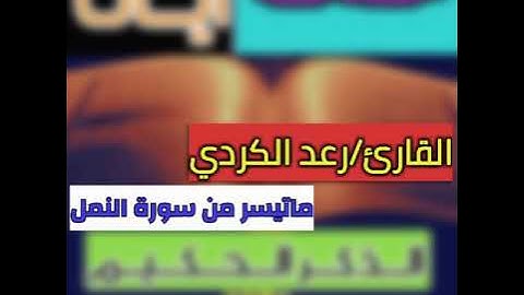 رعد الكردي ماتيسر من سورة النمل