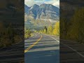 Driving along the Icefields Parkway, one of the best drives in Canada.
