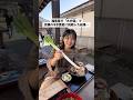 これって何が正解なの??😂笑笑 #福島観光 #福島旅行 #大内宿 #ネギ蕎麦 #ねぎ蕎麦