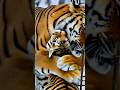 Siberian tiger with a baby #cuteanimals #cute #animals #chill #nature #wildanimals #wildlife #tiger