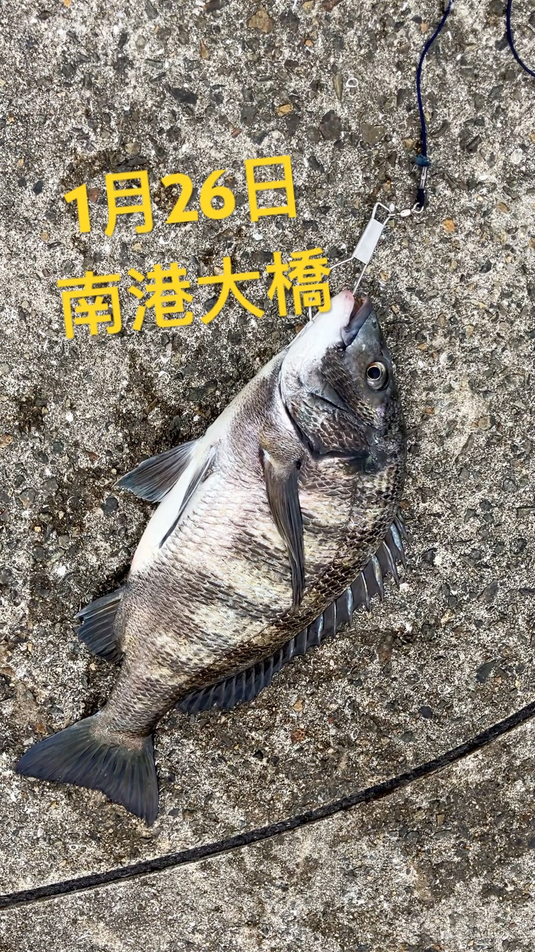 January 26th Nanko Bridge Fishingmax Minami Tsumori Store - YouTube