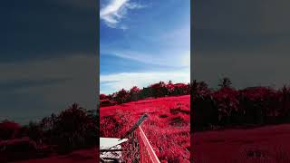 Red nature filter | deadpaul19_ph