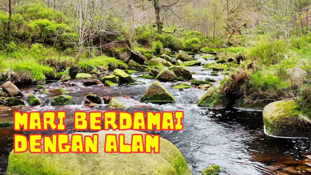 Mari Berdamai Dengan Alam Dengan Mendengar Suara Gemericik Air Sungai dan Kicau Burung di Pagi Hari