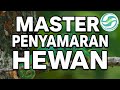 Master Penyamaran di Alam !! 😱 #unik #fakta #knowladge #edukasi