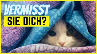 Vermisst dich deine Katze?