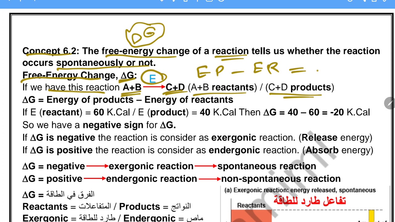CH6 Energy and life Part (1)