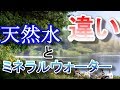 ミネラルウォーターと天然水って何が違うの？　メリットデメリットもご紹介！