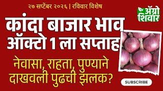 ऑकटबरच पहल आठवड, नवस, रहत, पणयन दखवल झलक? Kanda Bajar Bhav