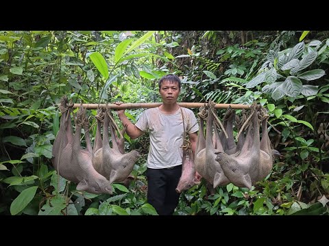Full Video Tran Cong Rebuilds Life From Scratch In The Wilderness First Assets Were Wild Boars