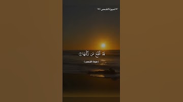 تلاوة سورة الشمس #قرآن #qouran_karim #قران_كريم #القرآن_الكريم  #coran #دعاء #القرآن #إبتسم