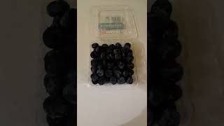 Buah Blueberry Yang Kecil