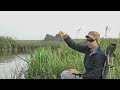 Рыбалка на Рязанской ГРЭС  02.09.2017.