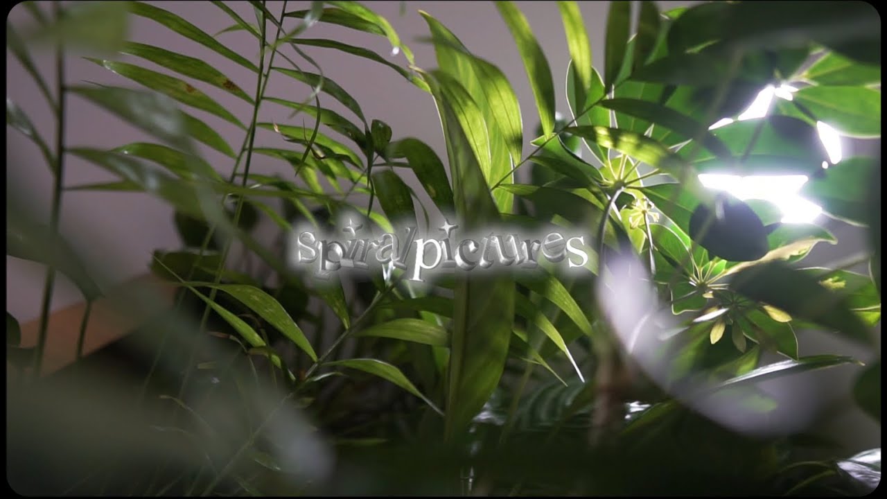 SOSR -  ŽLUTEJ SHIT  / BAŽINA (VIDEO)