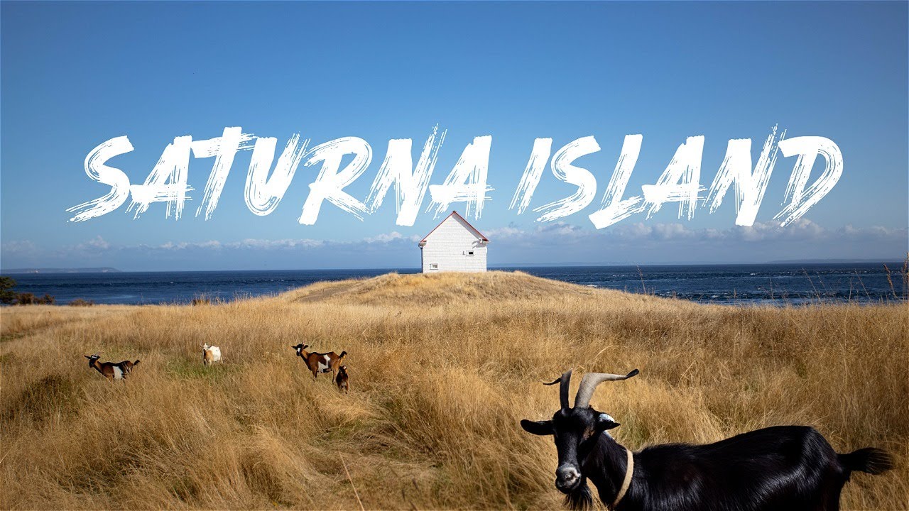 Visiting the island with more GOATS than people! (Saturna Island, BC) 🇨🇦