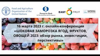 Шоковая заморозка ягод, фруктов и овощей 2023: обзор рынка, инвестиции, перспективы - конференция