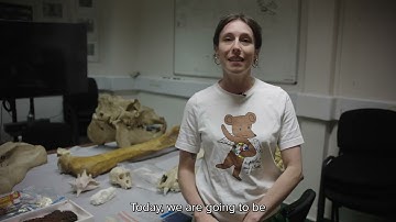 CSI: Wildlife | How ZSL Uses Forensic Science to Tackle Wildlife Crime
