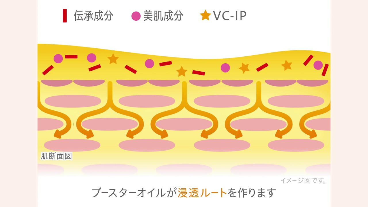 伝承オイルが美肌成分の浸透をフルサポート スピーディア浸透美容とは