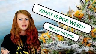 What is PGR Weed? | Nectar Insights