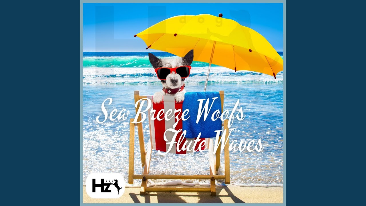 Calm and Content Dogs: 417 Hz Audio Frequency