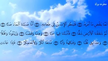 سورة عبس سعود الشريم