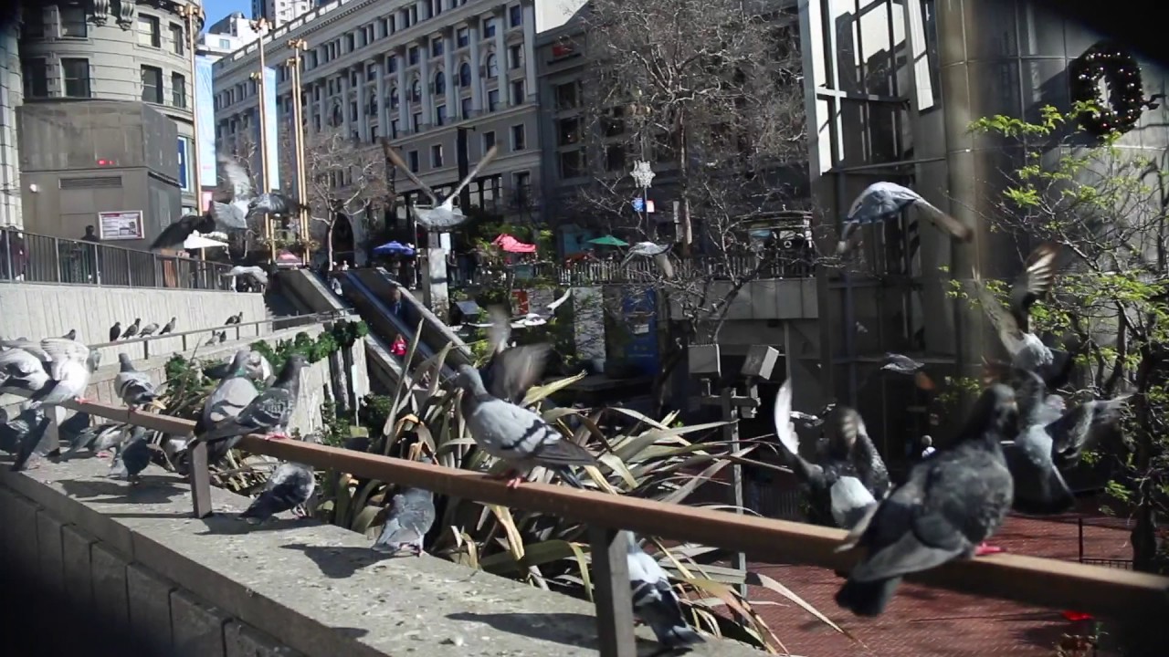 New Years in the City