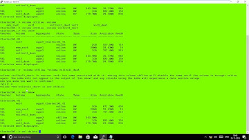 Delete Volume NetApp Cmode 9.4