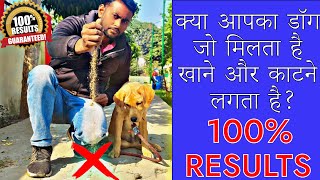 Why Do Dog or Puppy Eat Poop , Soil  & Grass: and how to STOP it! (in Hindi)