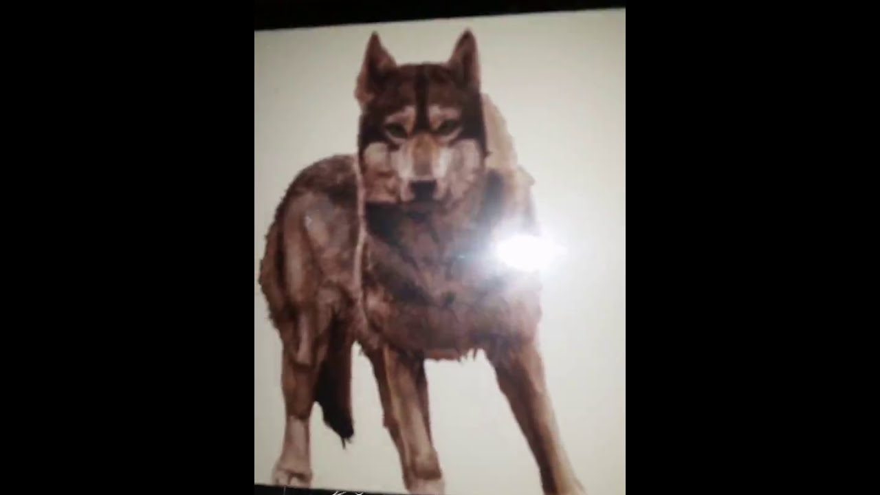 Unboxing paquete con King Pledge de Conan de Monolith