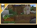 | Minecraft - LIFE IN THE WOODS Let's Play [S01E038] | Block für Block