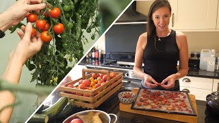 The Best Way To Dehydrate Tomatoes