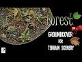 How to make realistic forest groundcover for terrain scenery