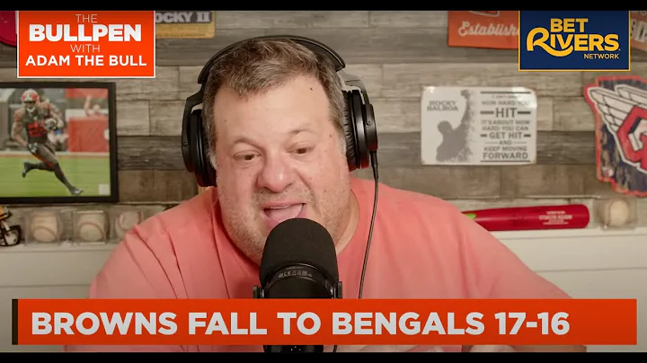 Video 10798921: brown bengal