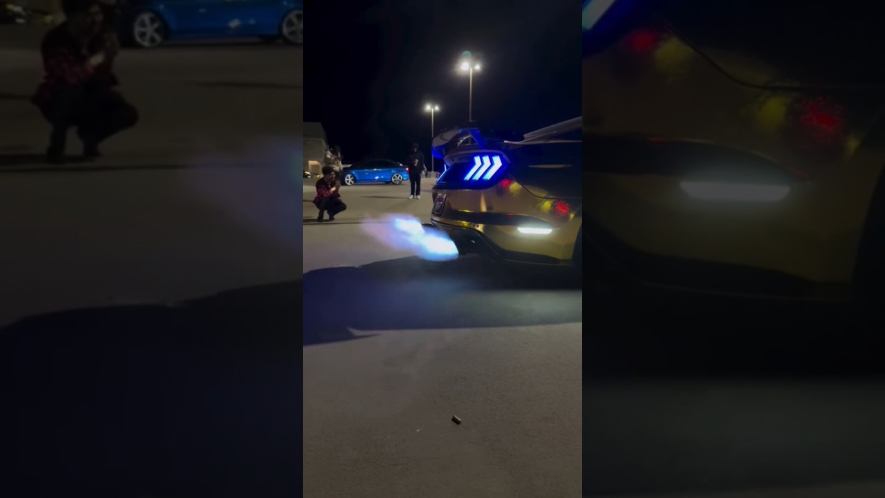 Mustang GT Wrapped in 24k Forged Gold wrap! 📷