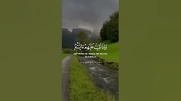 تلاوات هادئة تريح الاعصاب إشترك في القناة تلاوات خاشعة تلاوات خاشعة قرآن Explore Trend Shorts 