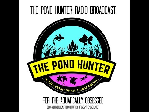 The Pond Hunter Radio Podcast Ep.52 - Keeping Small Scale Fish Ponds and Water Gardens. New Jersey.