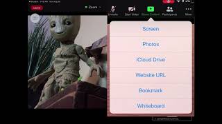Basics of Zoom on iPad