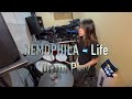 NEMOPHILAのLifeを叩いてみた