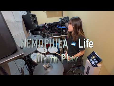 NEMOPHILAのLifeを叩いてみた