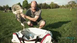 Celebrity The Sport of Cricket: Equipment Wealth