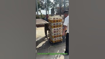Farmers Move 100 Chicken Cages in Minutes! 🌾 Smart Lifting Trick
