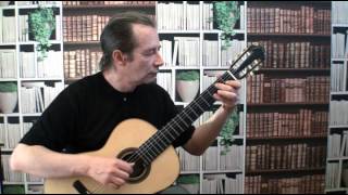 Blackmore's Night - Memmingen (on classical guitar)