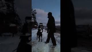 dedem köpeğimi gezdiriyor