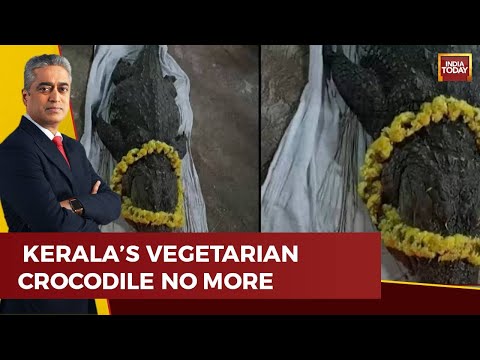 Funeral Held For God's Own Crocodile Babiya In Kerala; Tributes Pour In