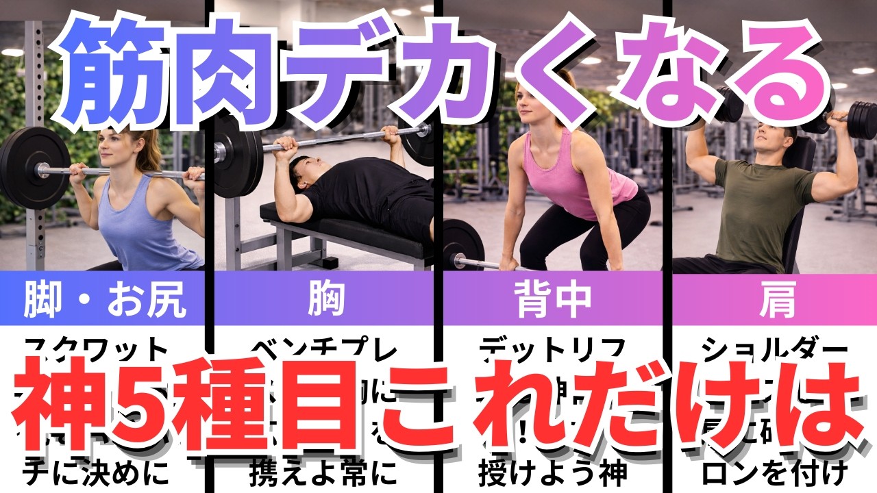 【フォーム解説付き保存版】初心者必見！1か月で覚えるべき神種目5選【筋肉がデカくなる７日間シリーズ５日目】【筋トレ雑学】【2026年版】