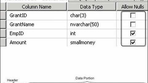 SQL2008DevVol3 Lab3 2   NullDataGoodVideo