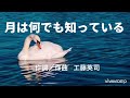 月は何でも知っている(歌詞表記)