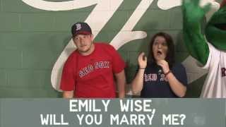 Fenway Proposal