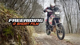 Freeriding, A Short Film - Tenere 700 - Ridewithfrank 59