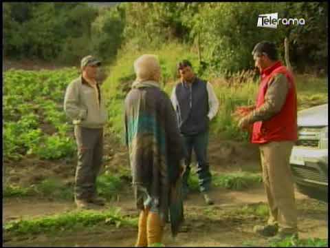 Ecuador Agropecuario 26-01-2018